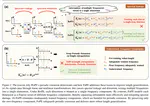 Fourier Position Embedding: Enhancing Attentions Periodic Extension for Length Generalization