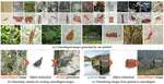 LAKE-RED: Camouflaged Images Generation by Latent Background Knowledge Retrieval-Augmented Diffusion
